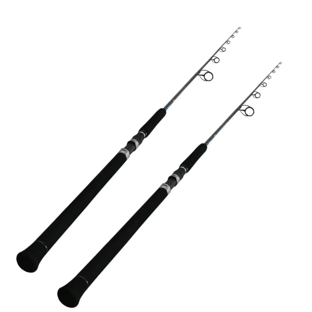Fishing Rod Spinning - Nuovo Design Canna da Pesca FUJI
